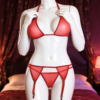 Fantazi Kırmızı Seksi Transparan Tül Jartiyer Takım BC2394 - Thumbnail Image 1
