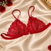 Fantezi 3'lü Seksi Dantel Sütyen Seti BC9257 - Thumbnail Image 4