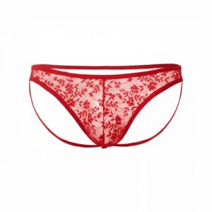 Seksi Dantelli Arkası Açık Seksi Kırmızı Erkek Külot BC4627